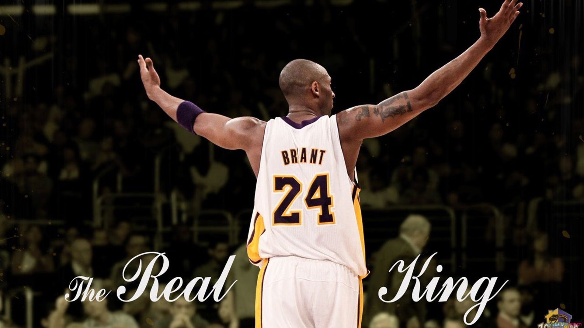 《电竞行业“黑马”项目:创新创业新风口》,电竞产业项目